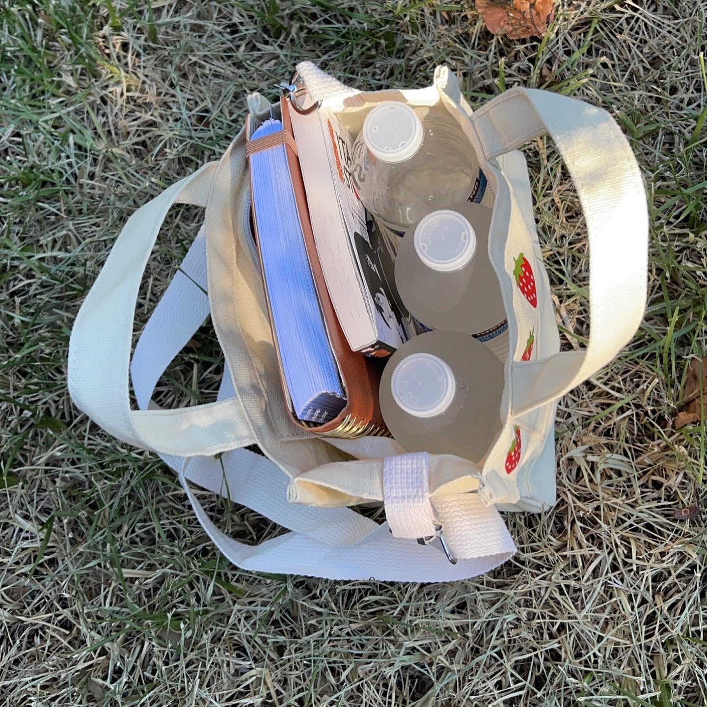 Strawberry Tote